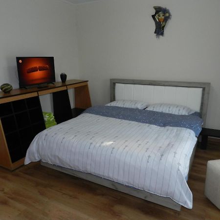 Apartament Cristina Cu Doua Dormitoare & Balcon & Parcare Proprie 奥内什蒂 外观 照片